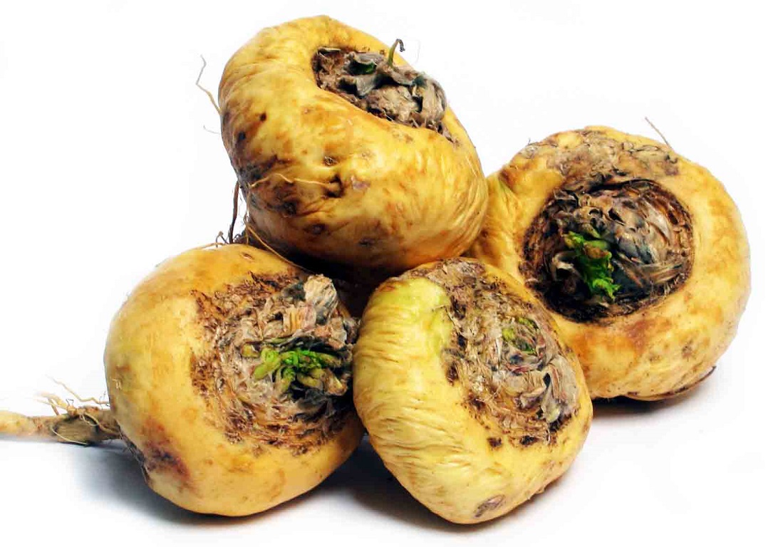 maca-herb maca-herb